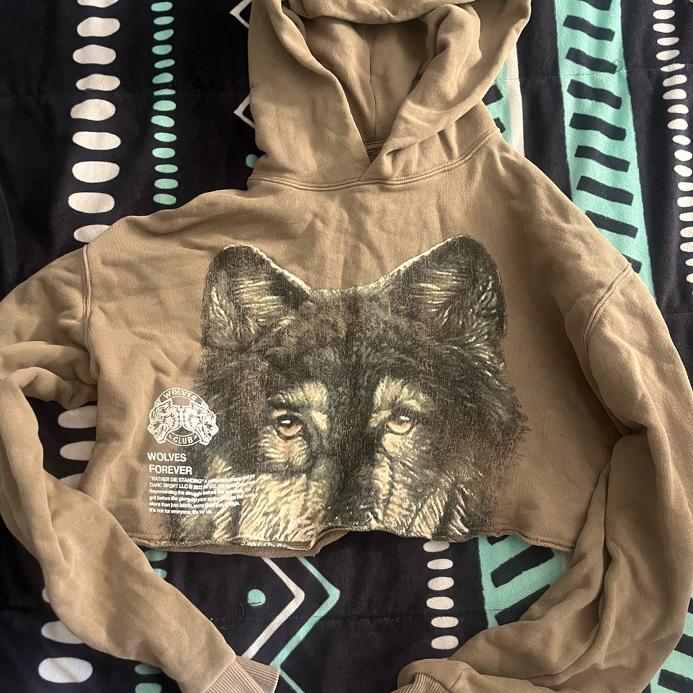 Brown Darc sport wolf cropped hoodie